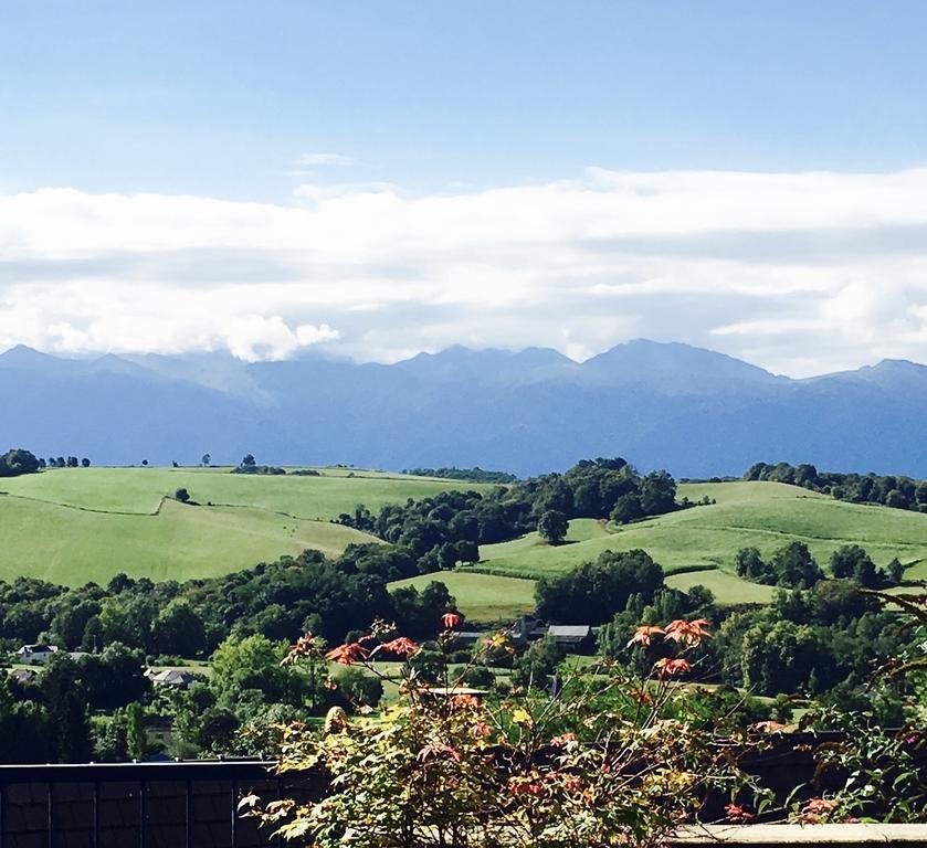 Les Gites De La Maison Bleue D'Estialescq Bagian luar foto