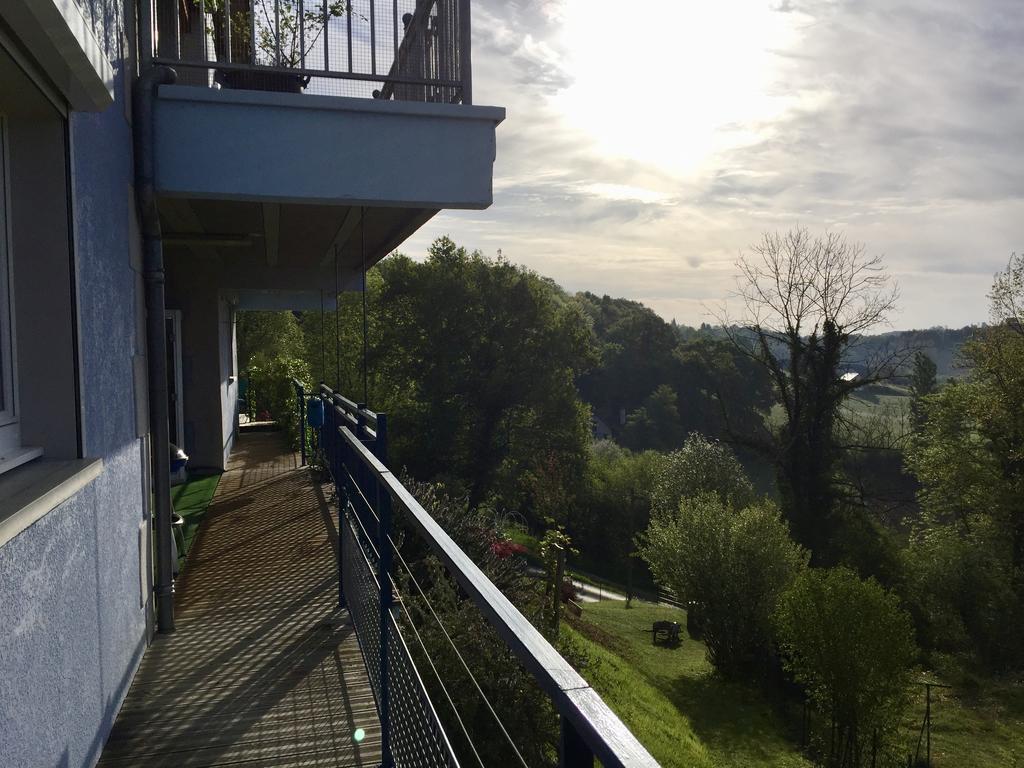 Les Gites De La Maison Bleue D'Estialescq Bagian luar foto