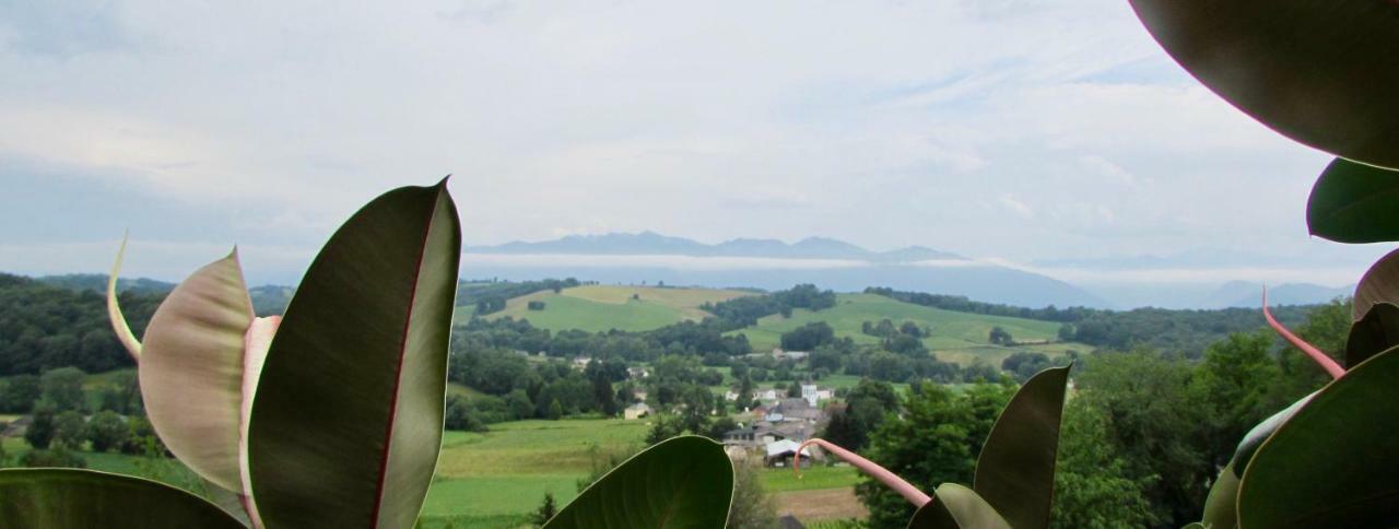 Les Gites De La Maison Bleue D'Estialescq Bagian luar foto